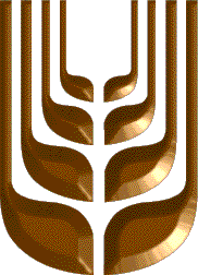 logo3.gif (23140 bytes)